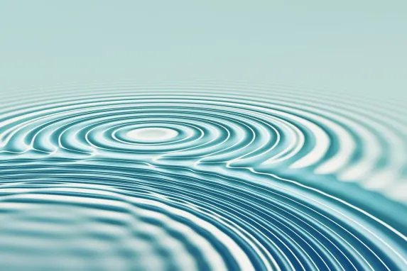 Casino Bonanza Game Soporte